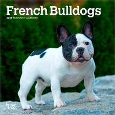 French Bulldogs | 2026 7x14" (Hanging) Monthly Mini Wall Calendar
