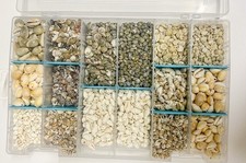 organizer Lot Pendant Drilled Pierced seashell shells beach craft Large Lot