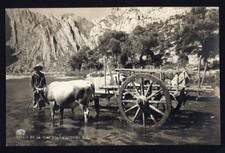 RPPC - EN LA HUASTECA - MONTERREY N.L. MÉXICO - BUEYES Y CARRO HOMBRE FOTO no publicada