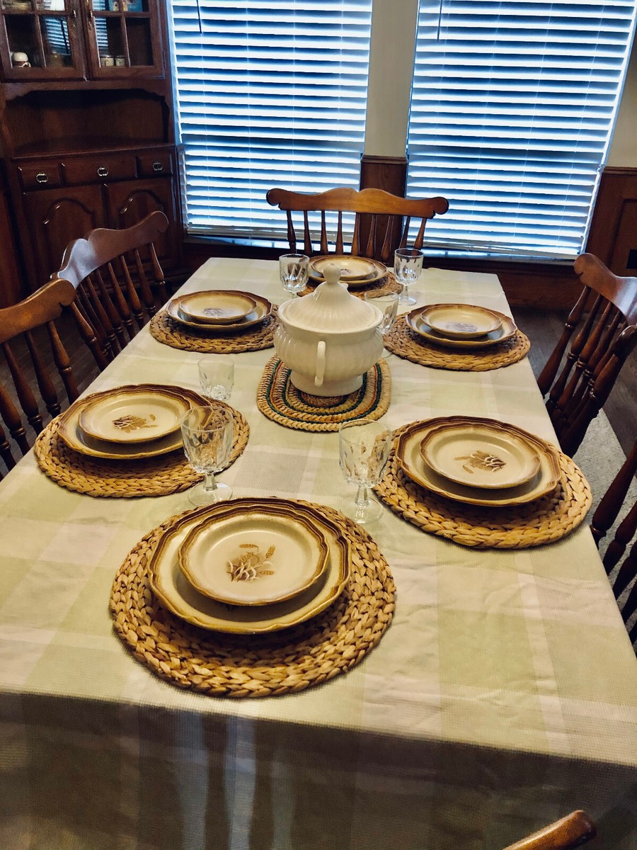 VINTAGE Mikasa Dinnerware WHOLE WHEAT #E8000 JAPAN 7-Pc Set (1976