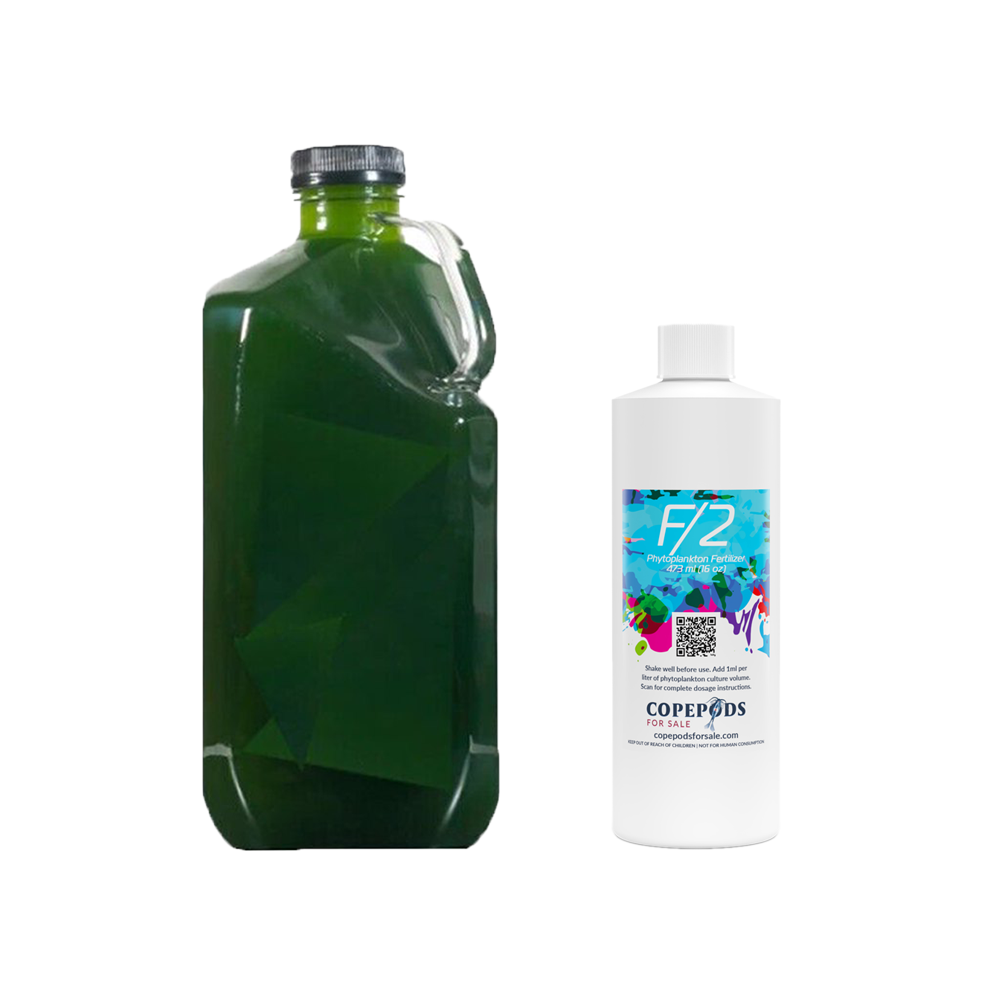 Live Phytoplankton - Nannochloropsis