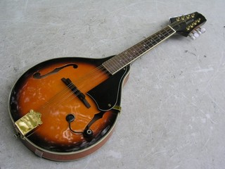 Beautiful Mandolin GEWA Tennessee A 2 8 Strings