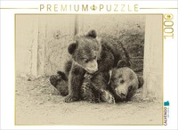 Calvendo Puzzle Gemeinsam Spielen | 1000 Teile Lege-GrößE 64 × 48 Cm Foto-Puzzle
