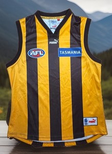 Hawthorn Hawks | eBay