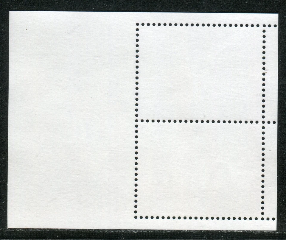 003 - Kosovo 2007 - 100 años de Boy Scout - Hoja de recuerdo MNH Foto 2 de 2