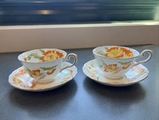 HAND PAINTED VINTAGE ROYAL CHELSEA LAKE LOUISE POPPY TEA CUP SAUCER SET OF 2