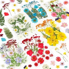 NESCCI Dried Pressed Flowers for Resin, 103pcs Real Nature Dried Flowers for Cra