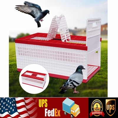 Racing Pigeon Cages Carrier Box Bird Training Basket 2 Top Doors W/2 Side Doors