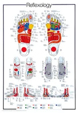 REFLEXOLOGY Foot Reflex Pressure Points Info-Packed 27x39 Wall Chart POSTER