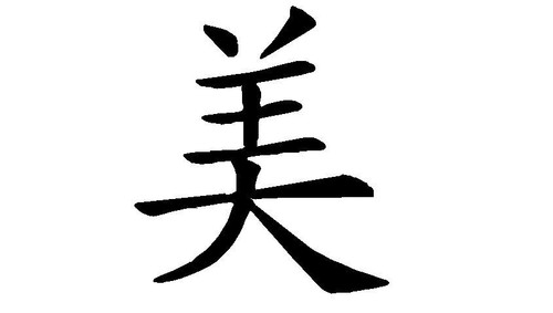 Decal Chinese Symbol "Beauty" Character word Hanzi Vinyl Decal Sticker - Picture 2 of 3