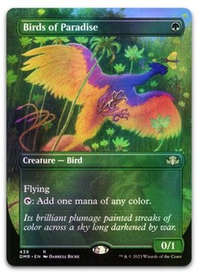 Birds of Paradise Foil 7th Edition | eBay