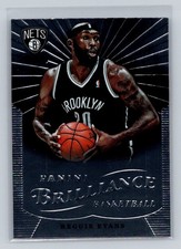 2012-13 Panini Brilliance #26 Reggie Evans Brooklyn Nets