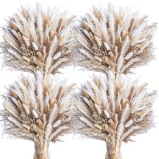 440PCS Natural Dried Pampas Grass Boho Home 440 Pcs, Natural,white,beige