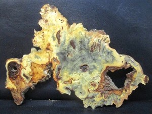 Buckeye Burl Wood Natural Edge Slab Crafts  #D639  32 1/2" x 23 1/2" x 2 1/8"