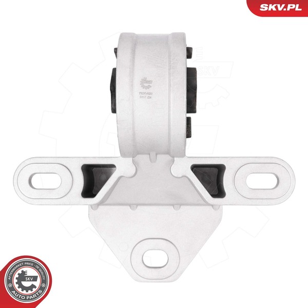 Esen Skv Lagerung, Motor 75SKV020 FüR Chrysler Dodge-image