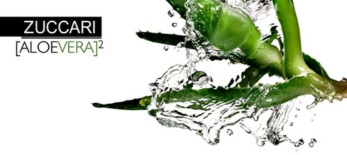 Zuccari 3 Bottiglie da 1000ml succo e polpa Concentrato Aloe Verax2 Succo Puro - Foto 3 di 3