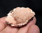 1.75" RHODOCHROSITE from Potosi mine, level 10, Santa Eulalia, Chihuahua, Mexico — photo 6