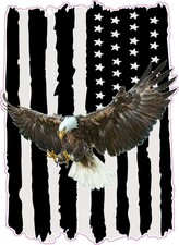 Worn black American Flag soaring bald eagle D...