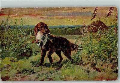 39440654 - Ente KVB Serie 9003 Jagdhund Gebrauchsspuren