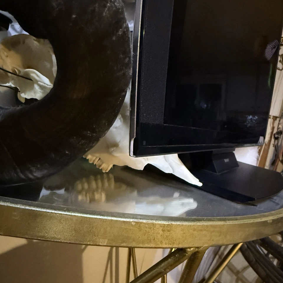 Sony CECH-ZED1U PlayStation 3D Display TV Monitor 24" - Image 4 of 4