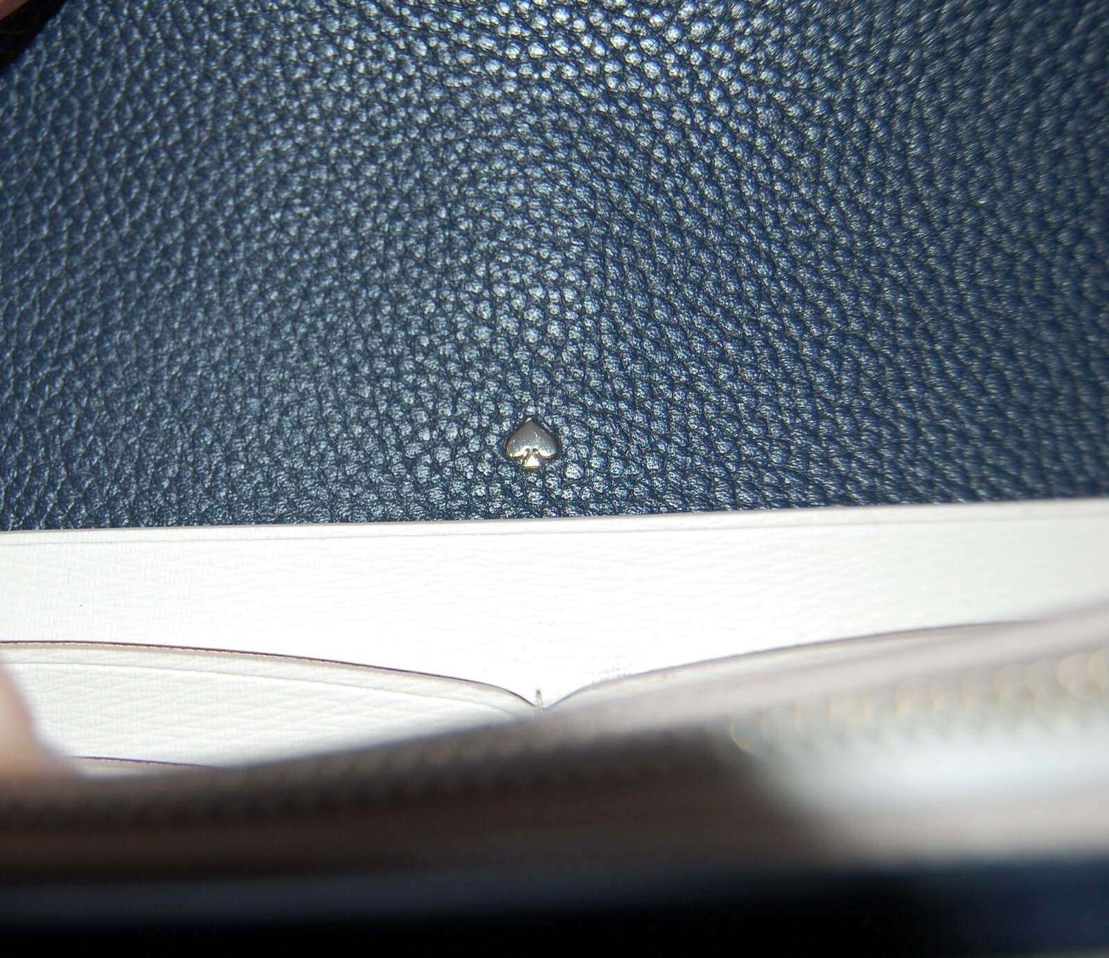 Picture 5 of 7