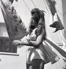 1960s Ron Vogel Negative-sexy pinup girl Shannon Malone-cheesecake v310286