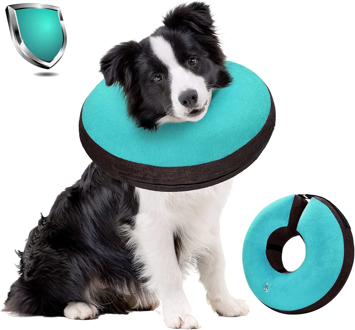 E collars for top dogs after surgery