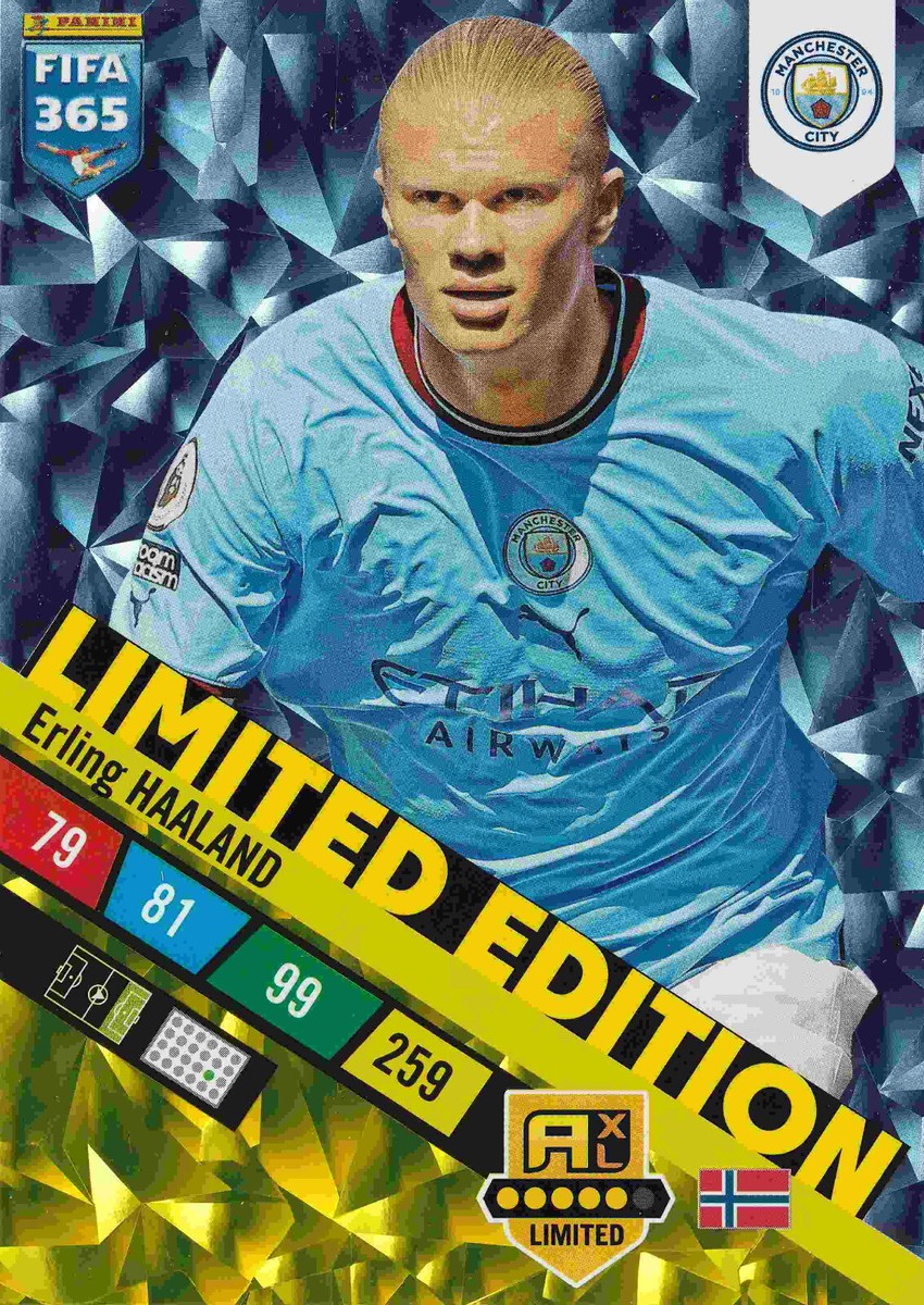 Panini Obsidian HAALAND ハーランド 世界199枚限定 2023-24 Panini Obsidian Erling Haaland Purple Flood 1/25