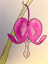 Original Signed Watercolor and Ink - Fushia Flower