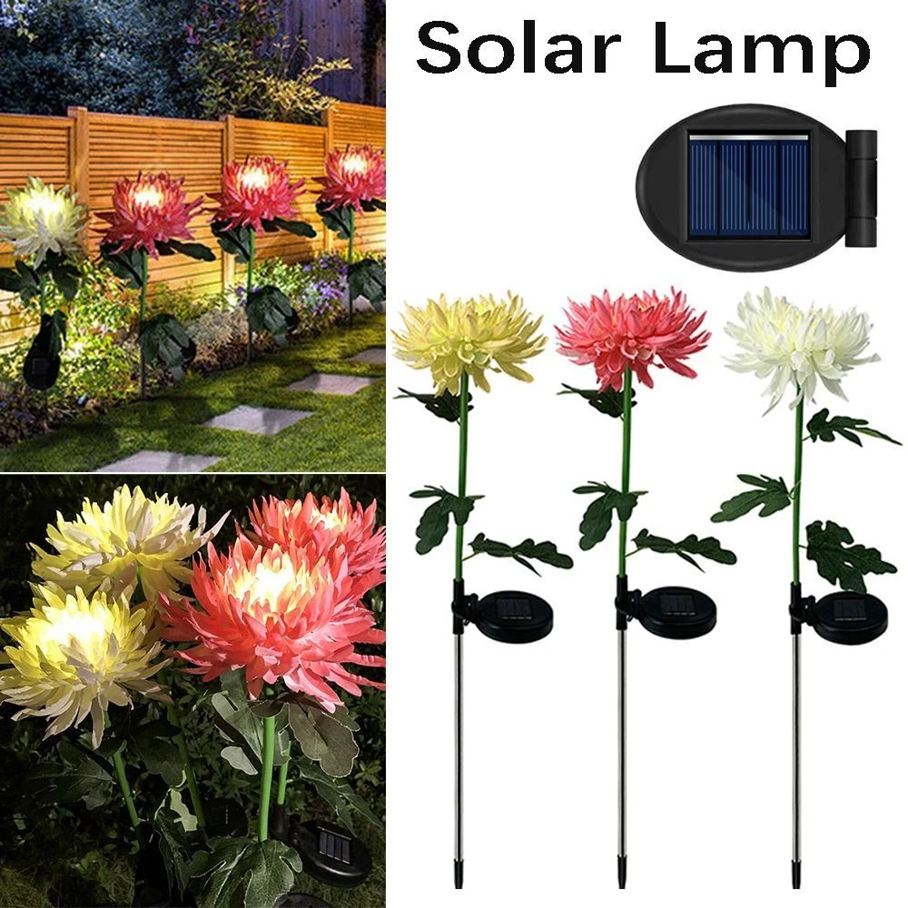 Chrysanthemum 2024 garden lights
