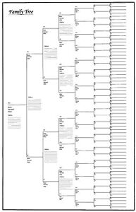 Big Family Tree Chart