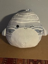 Sachie lo squalo balena grigio 16” squishmallow! RARO!