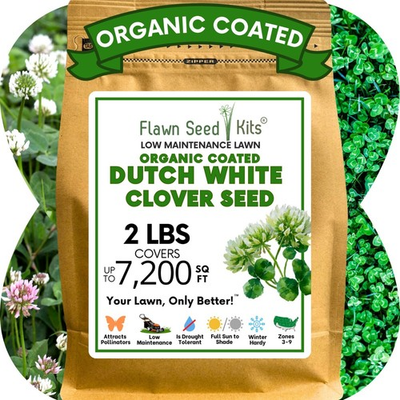 #ad Dutch White Clover Seed Organic Coated Eco Friendly Low Maintenance $49.99