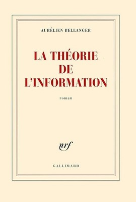 Die Informationstheorie - Bellanger, Aurélien
