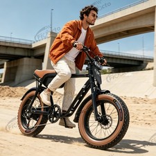 20 Zoll Elektrofahrrad 48V 15AH E-Mountainbike Herren/Damen Fat Tyre E-Bike