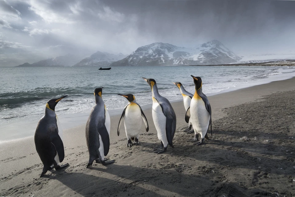 Lee Filters ND Grad Set Very Hard 100x150mm CLEARANCE - Image 2 of 2