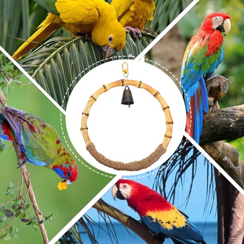 Toy Bird Swing Parakeet Toy Toy For Parrot for Birds Parrots Fun - Picture 11 of 12