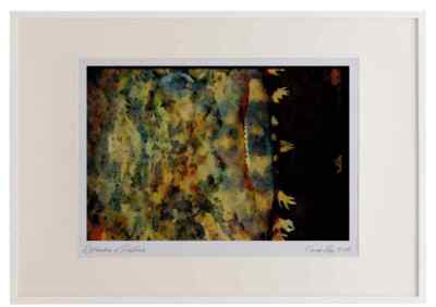 427018 A Surly looking Austernkrötenfisch Aquarell Bilderrahmen