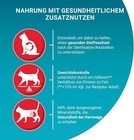 Bild 3 von 6