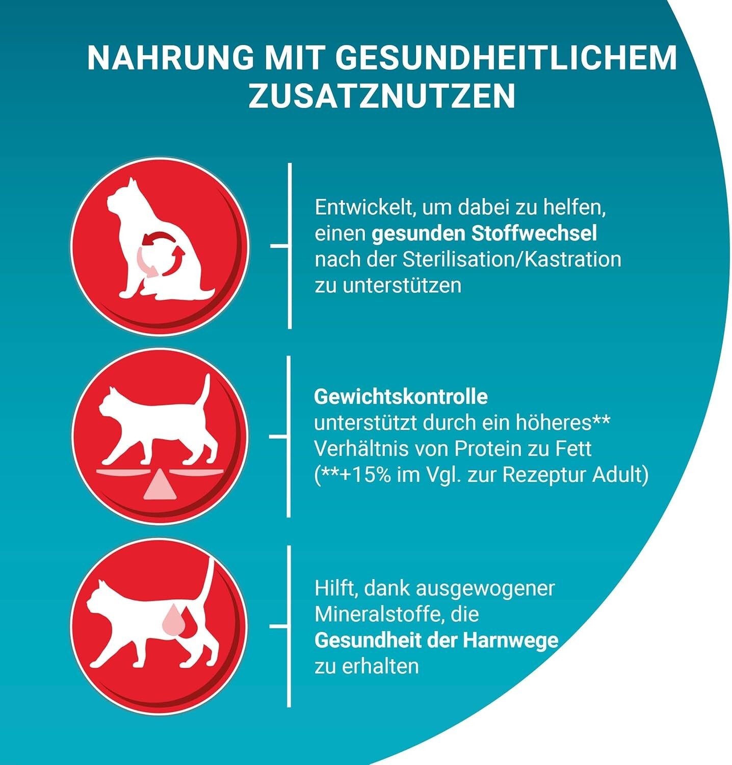 Bild 3 von 6