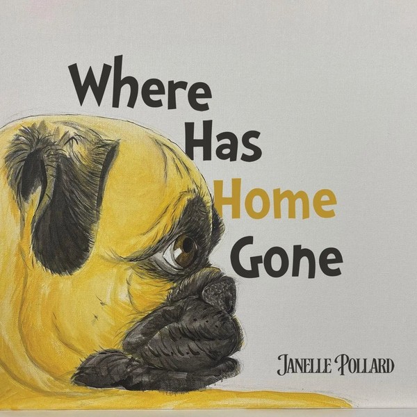 Where Has Home Gone Janelle Pollard Taschenbuch Englisch 2024 Austin Macauley-image