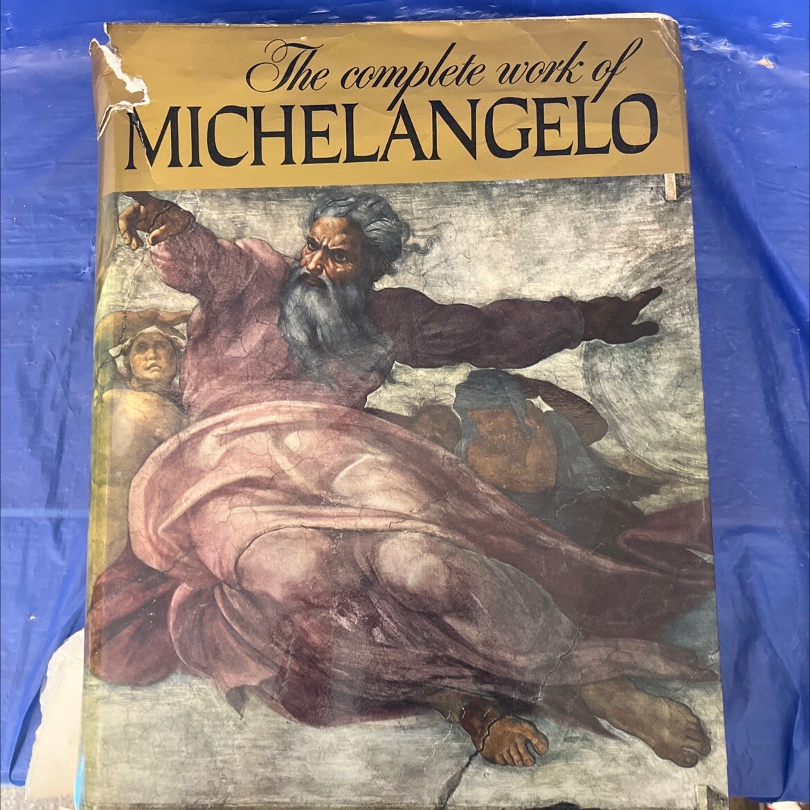 the complete work of michelangelo book, by michelangelo