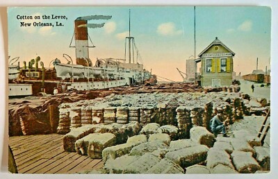LA Postcard New Orleans Cotton on the Levee bales ship steamer vintage wharf