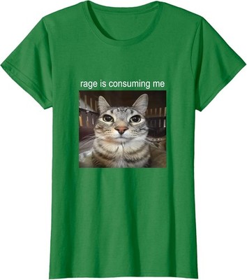 Rage Is Consuming Me - Funny Silly Staring Cat Meme Ladies' Crewneck T-Shirt