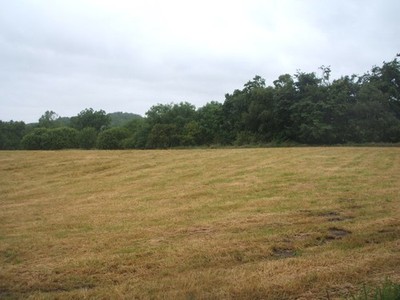 Foto 6x4 Schnittgrasfeld bei Brunton Burn Torphichen vor der A801. c2017