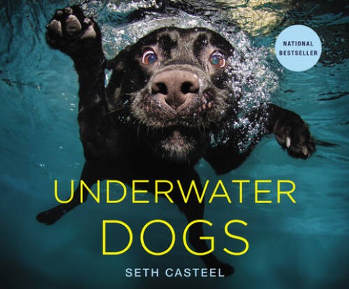 Underwater Dogs - Hardcover By Casteel, Seth - VERY GOOD
