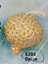 Walco BEADED ONION Vegetable Sequin Bead Vtg Christmas Ornament Kit 1974 NOS