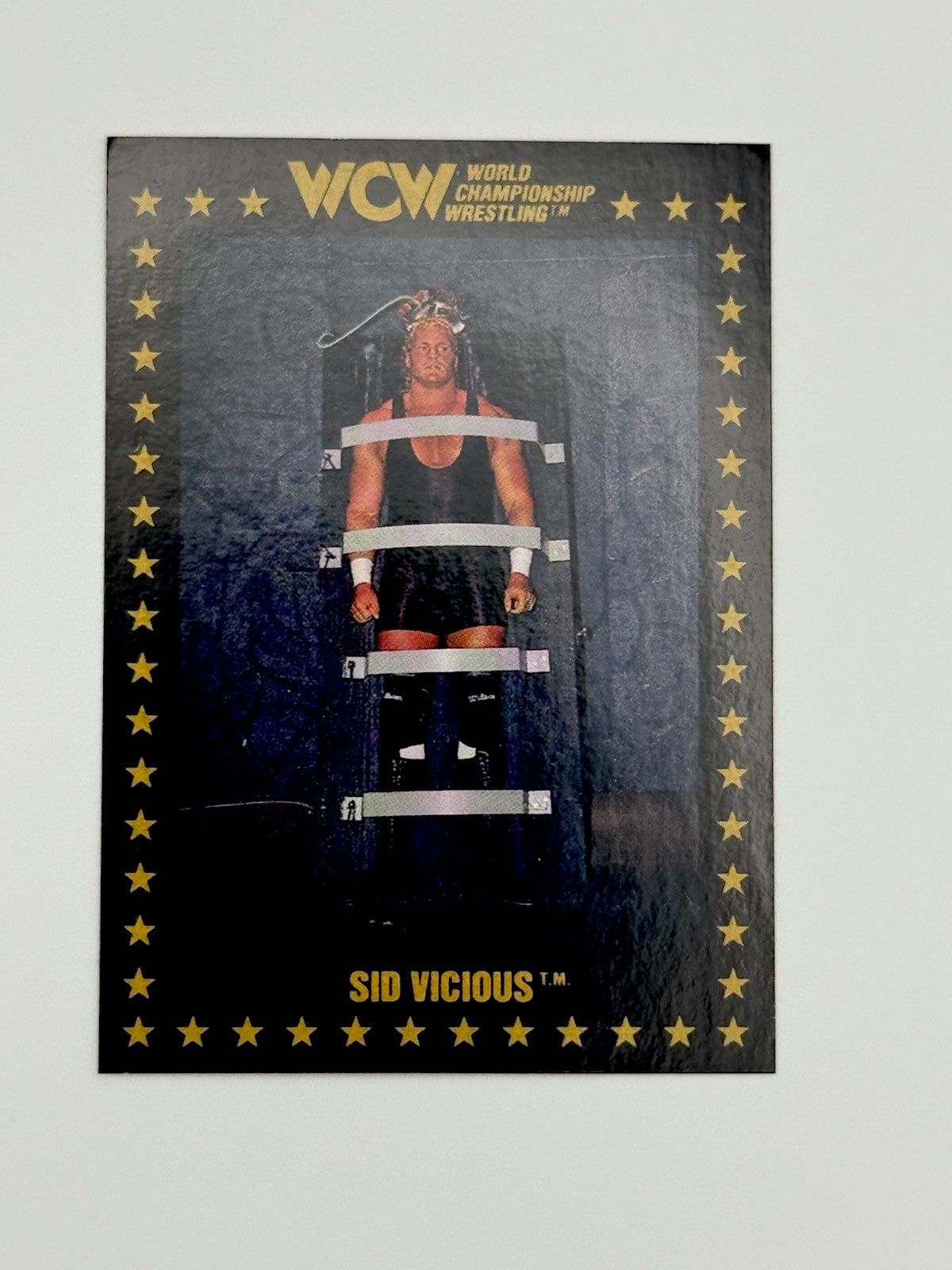 Sid Vicious RC 1991 Championship Marketing WCW #10 WWE