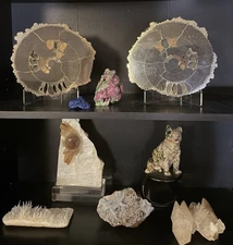 Assorted Collection Of Rocks, Minerals, Stone Carvings, And Fossil. Lot Of 9