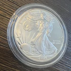 PROOF American Silver Eagle with Case - 1 oz .999 Silver Verified - 2004 - Lot Y